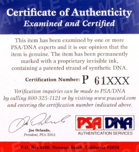 Натали Скай Подписа Ръкавицата StrikeForce PSA/DNA COA с Автограф на Пръстен Card Момиче 2008 - Ръкавици UFC С Автограф