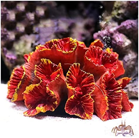 n/a Украса за аквариума с коралови рифове от изкуствена смола, Ландшафтен дизайн, Интериор за аквариум, Домашен